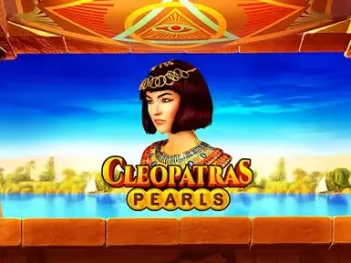 WildRobin casino screenshot